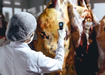 Campo Bom auxilia agroindústria no restabelecimento pós-enchente através do SIM