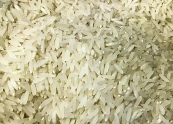 Justiça revoga liminar e mantém leilão de arroz importado