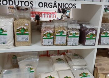 Guia Saúde e Beleza 2024: Casa Natural em Sapiranga