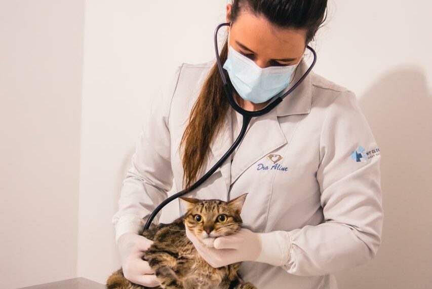 Guia Saúde e Beleza 2024: My Clinic Saúde Animal
