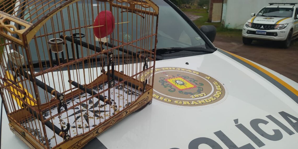 Brigada Militar desarticula Torneio Clandestino de Pássaros
