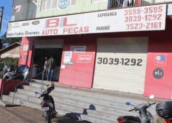 Guia Veículo 2024: Encontre as melhores peças para o seu carro na BL Autopeças