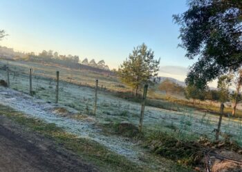 Rio Grande do Sul registra amanhecer com -4,2°C