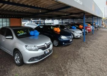 Guia Veículo 2024: Munari Veículos