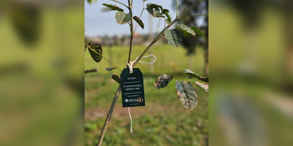Hospital Sapiranga identifica árvores plantadas em celebração aos seus 80 anos