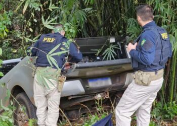 Homem de Campo Bom é preso com uma tonelada de maconha