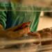 Hospital Sapiranga prorroga sorteio da Ação Solidária em apoio à UTI Neonatal após pausa devido a situação de calamidade
