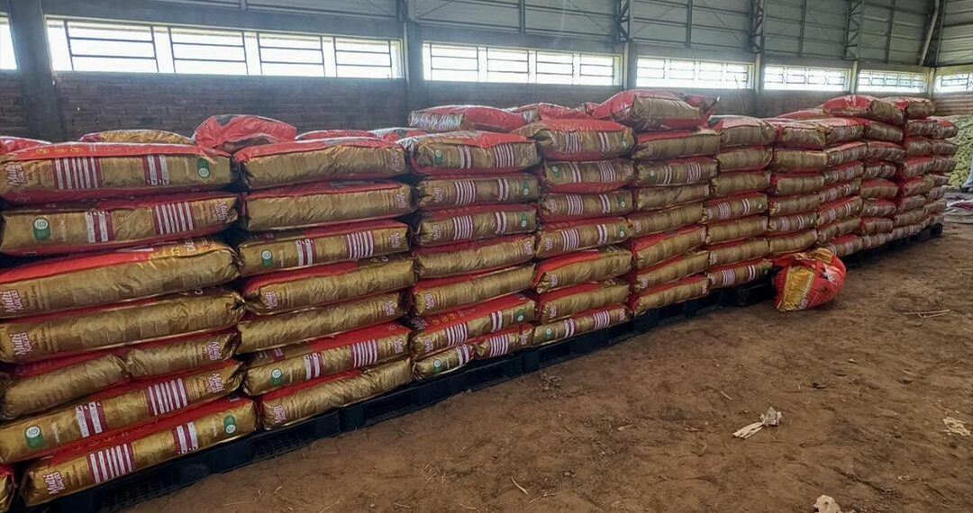 Vakinha do Badin viabiliza doação de mais de 7 toneladas de ração para ONG Campo Bom pra Cachorro