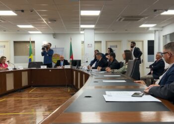 Governo do Estado e municípios discutem soluções sobre o futuro e melhorias definitivas para RS-239