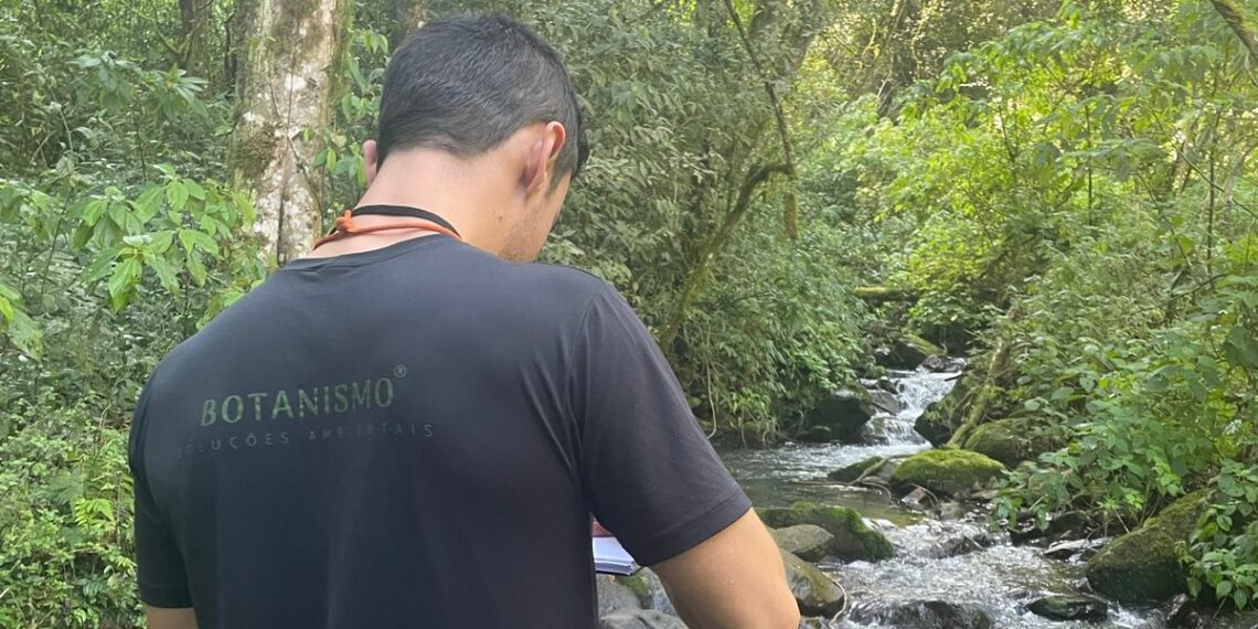 Guia Casa 2024: Botanismo