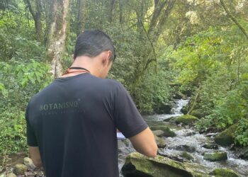 Guia Casa 2024: Botanismo
