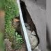 Prefeitura de Araricá é cobrada pelos vereadores quanto as vias públicas