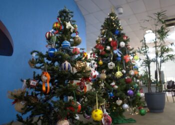 Árvore Solidária leva felicidade ao Natal de crianças carentes em Campo Bom