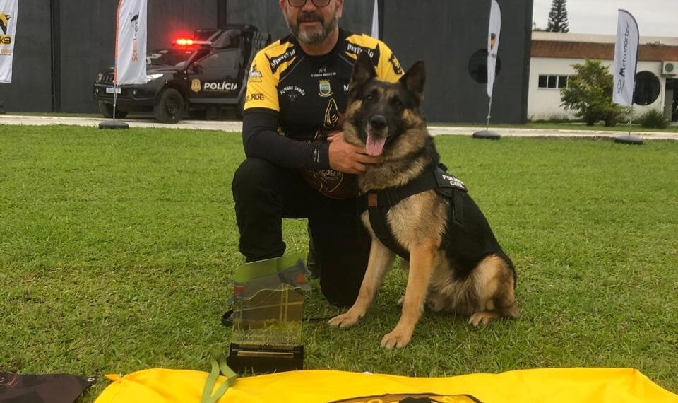 Cão Hades, do projeto K9, da Polícia Civil de Sapiranga, entre os melhores da América Latina