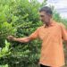 Produtor independente da zona rural de Sapiranga se destaca com o cultivo e comercialização de mirtilos