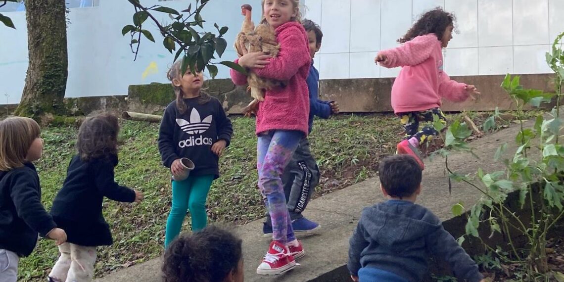 Campo Bom entre os dez melhores no Prêmio Meu Pátio é o Mundo