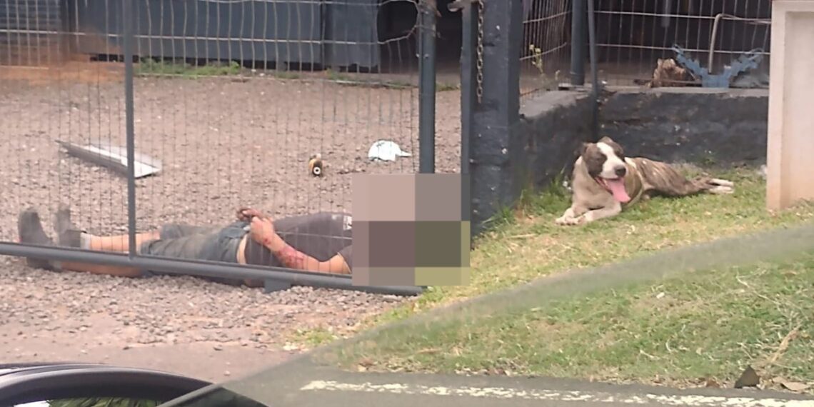 Idoso se recupera de graves lesões no rosto após ataque de cão, em Campo Bom