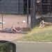 Idoso se recupera de graves lesões no rosto após ataque de cão, em Campo Bom