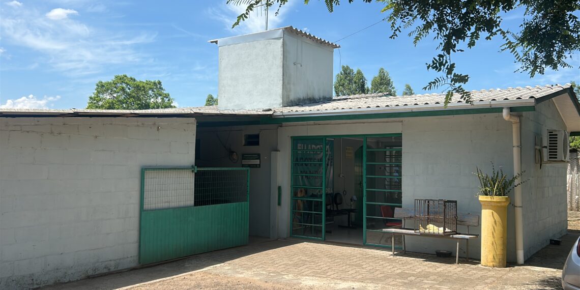 Sapiranga intensifica o combate ao abandono e maus-tratos de animais