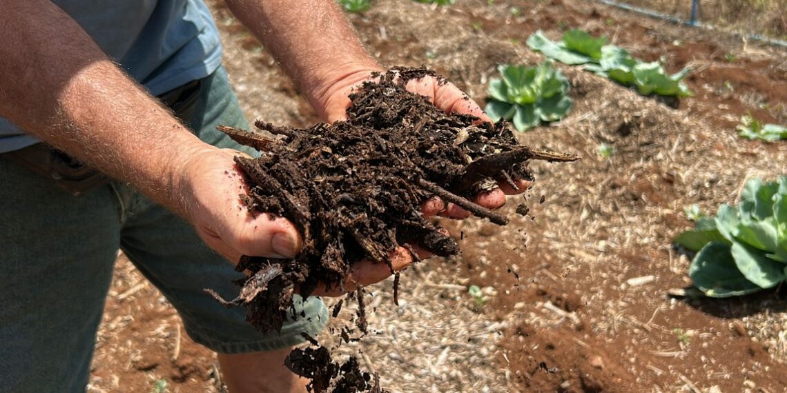 Campo Bom 66 anos: Parceria e resiliência no campo: a história de dois amigos que transformaram desafios em conquistas