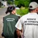 Mosquito zero: Nova Hartz realiza mutirão contra a dengue e busca seguir 2025 sem casos confirmados