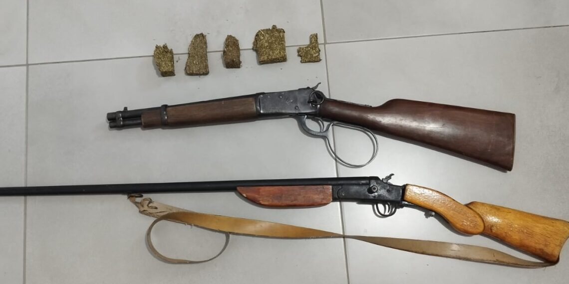 Operação contra o tráfico de drogas e venda ilegal de armas mobiliza a DP de Nova Hartz