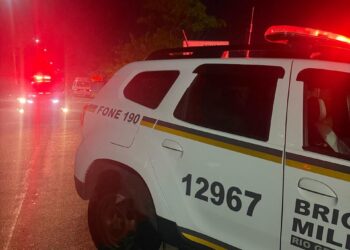 Brigada Militar prende homem por furto de veículo em Campo Bom