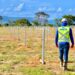 ENGM Energia está com vagas abertas para a equipe de Araricá