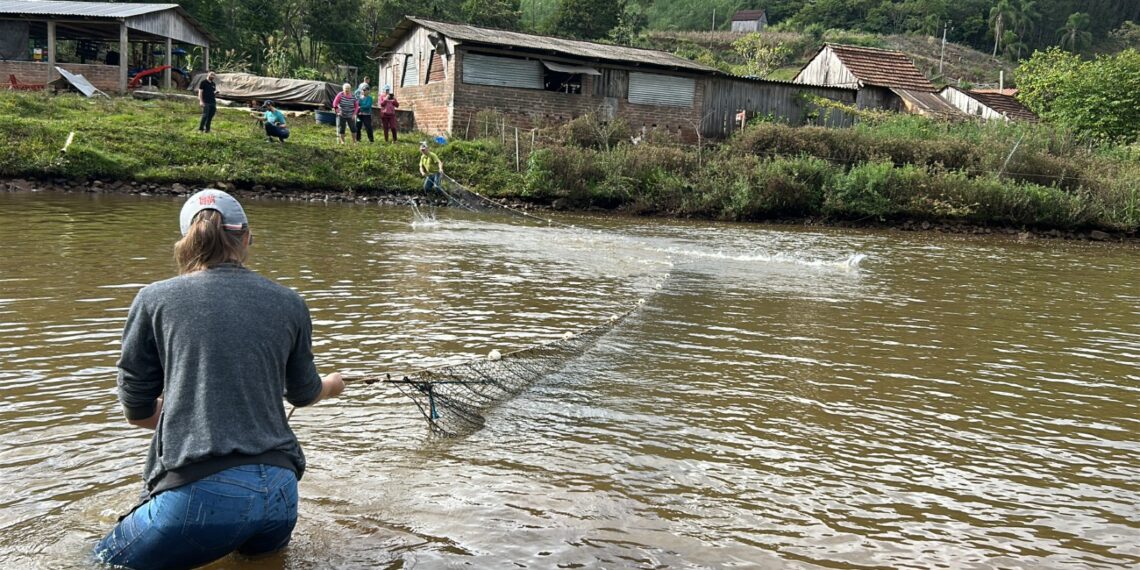 Produtores realizam a despesca e dão início à Feira do Peixe na Semana Santa
