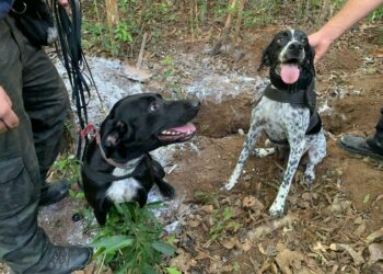 Cadáver encontrado pela Polícia Civil de Sapiranga é identificado e sepultado