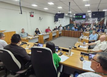 Câmara de Vereadores de Sapiranga realiza sessão solene com seis homenagens