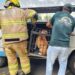 Cachorro ferido é resgatado no Centro de Sapiranga