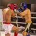 Open Fight de Kickboxing movimenta Sapiranga neste sábado (10)