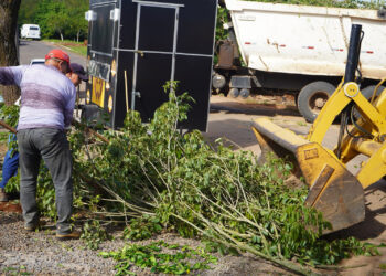 Prefeitura de Campo Bom inicia recolhimento de podas residenciais