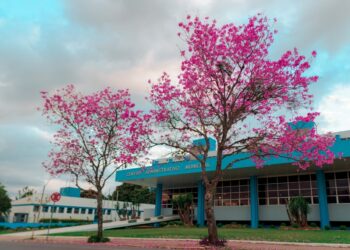Prefeitura de Campo Bom promove treinamento para ensinar empresas da cidade a participar de pregões eletrônicos