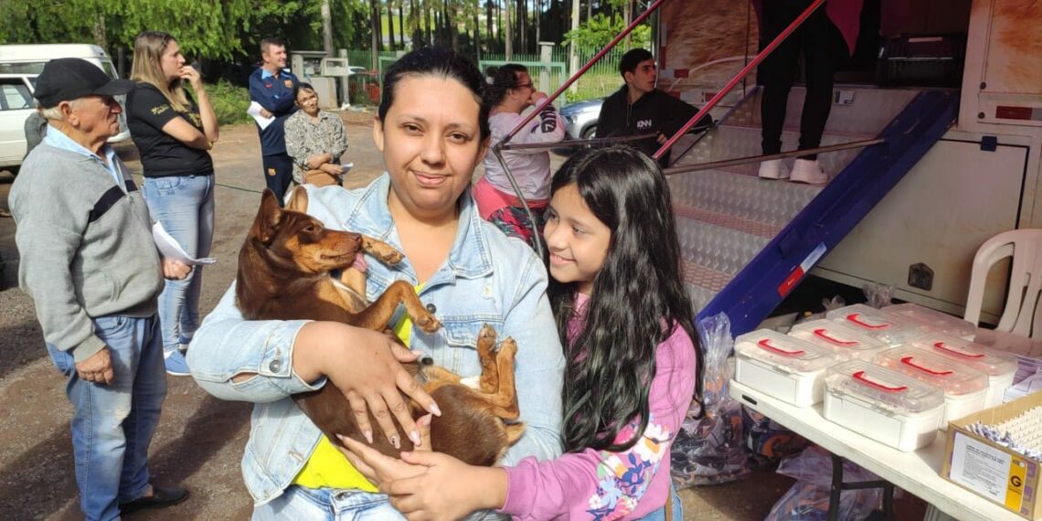 Inscrições para mutirão de castração para cães e gatos ocorrem neste sábado (7)