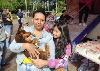 Inscrições para mutirão de castração para cães e gatos ocorrem neste sábado (7)