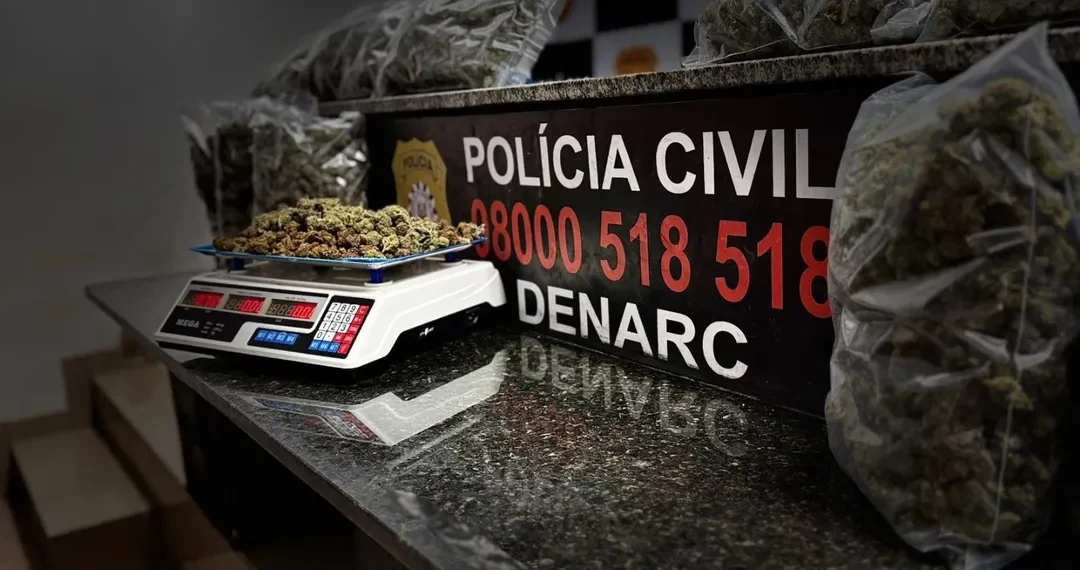 Polícia Civil apreende maconha de alto valor no bairro Santa Lúcia, em Campo Bom