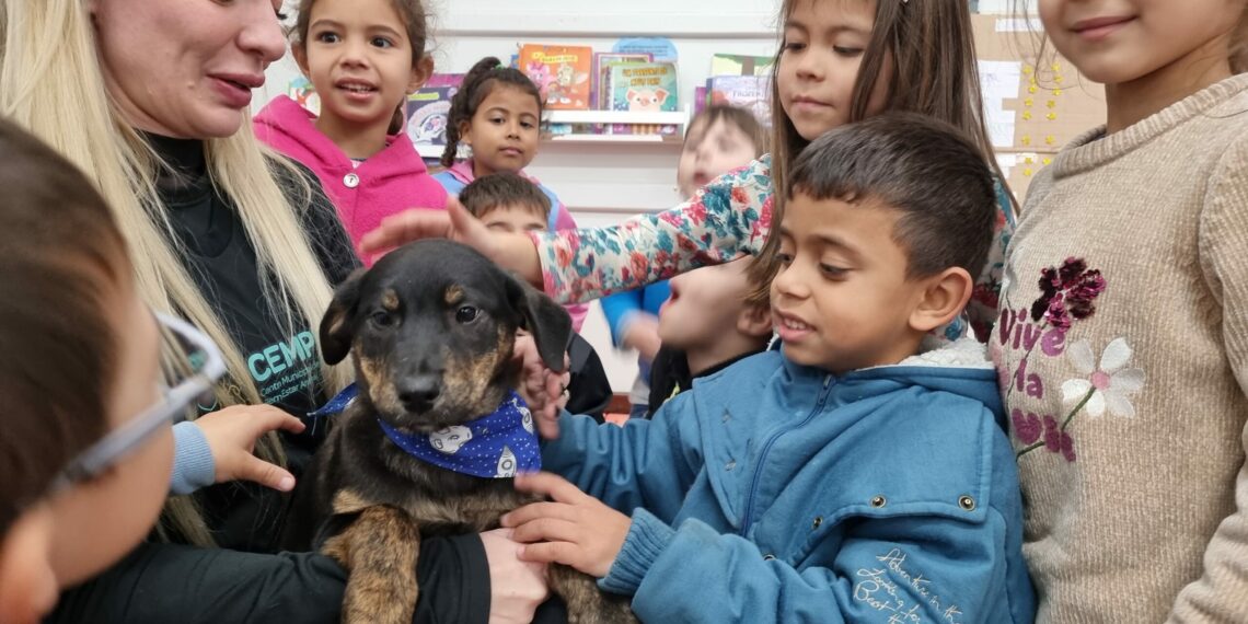 Visita de filhote do Cempra surpreende alunos em escola de Sapiranga