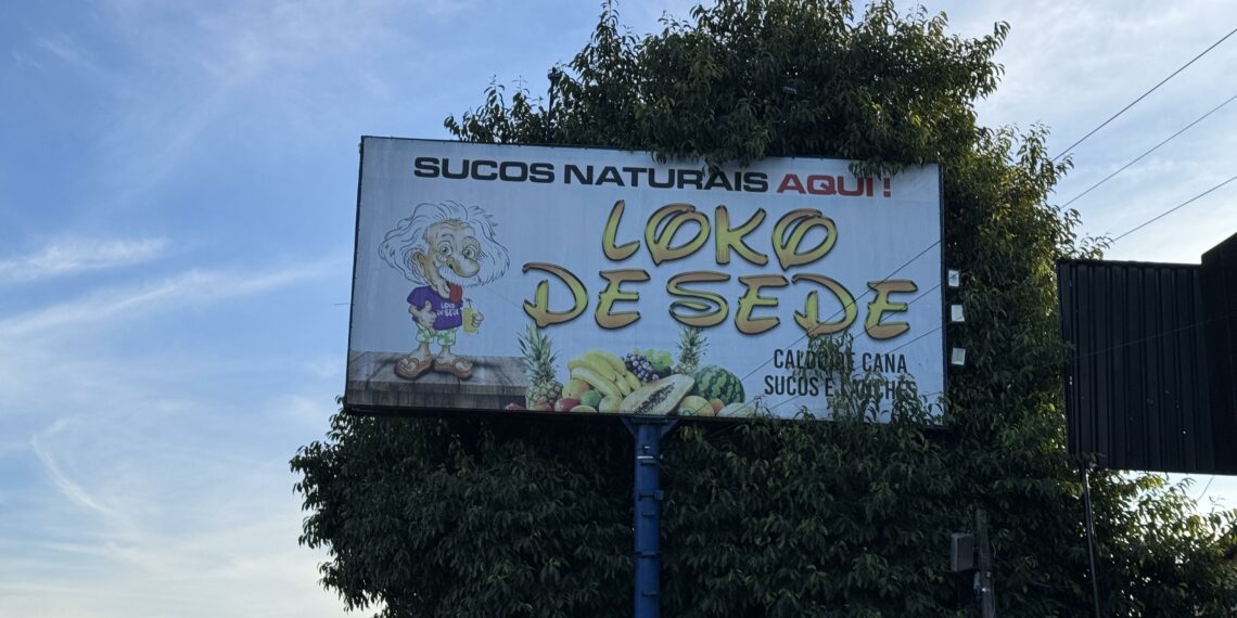 Tradição e sabor que atravessam gerações na RS-239
