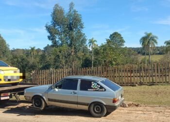 Brigada Militar apreende droga e recupera carro roubado em Araricá