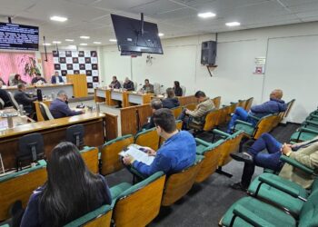 Projeto Gela Guela recebe destaque em sessão da Câmara de Sapiranga