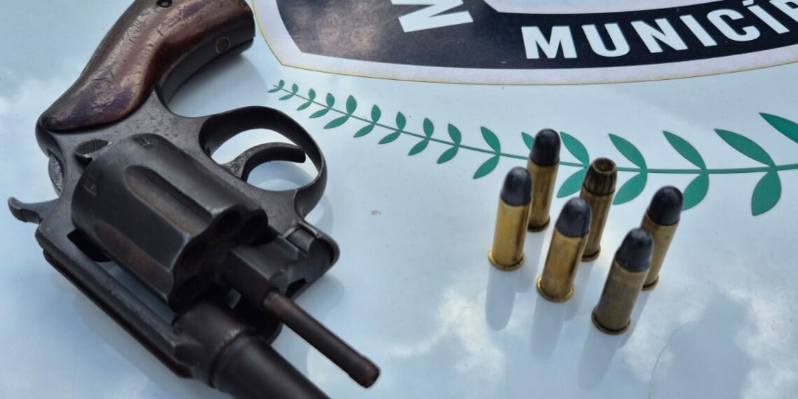 Homem é preso por porte ilegal de arma de fogo em Campo Bom