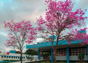 Inscrições abertas para estágios na Prefeitura de Campo Bom