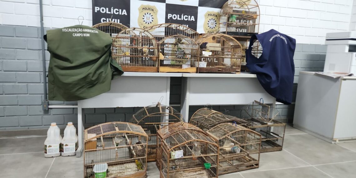 Polícia Civil de Campo Bom e prefeitura apreendem pássaros em cativeiro ilegal