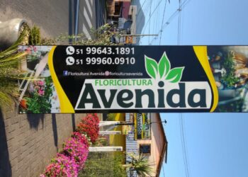 Sonho que floresceu, a história da Floricultura Avenida