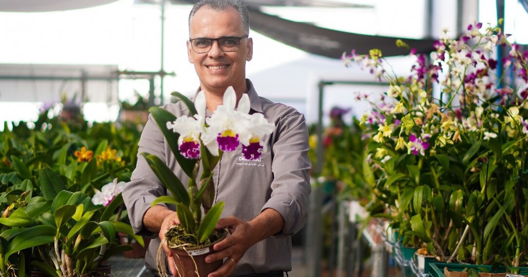 Festival de Primavera celebra chegada da estação no Solar das Orquídeas