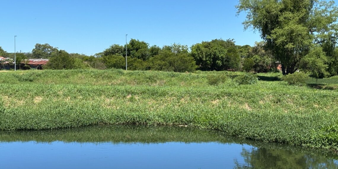 Parque de Saneamento Ecológico da Vila Rica inicia fase de monitoramento
