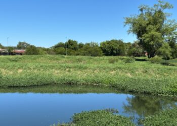 Parque de Saneamento Ecológico da Vila Rica inicia fase de monitoramento