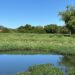 Parque de Saneamento Ecológico da Vila Rica inicia fase de monitoramento